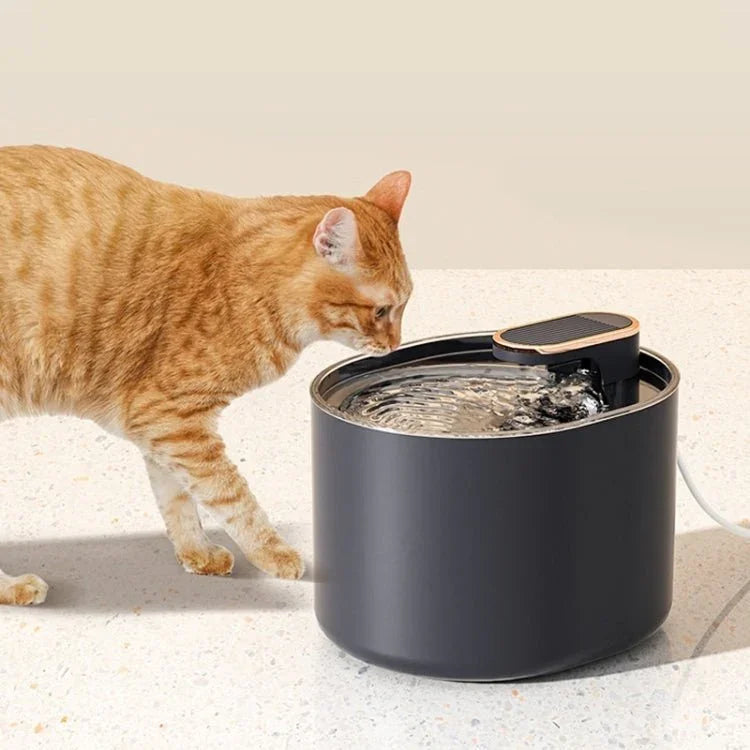 이미지 대체 텍스트