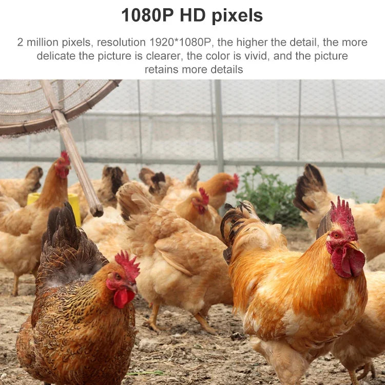 QX5 200만 화소 1080P HD 20배 줌 무선 WiFi 돔 스마트 카메라, 적외선 야간 투시 / 동작 감지 / 음성 인터콤 / TF 카드 지원, AU 플러그, WiFi 버전