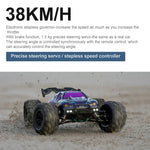 SCY-16101 2.4G 1:16 전기 4WD RC 몬스터 트럭 쿠페 자동차 장난감, SCY-16101 / 블루
