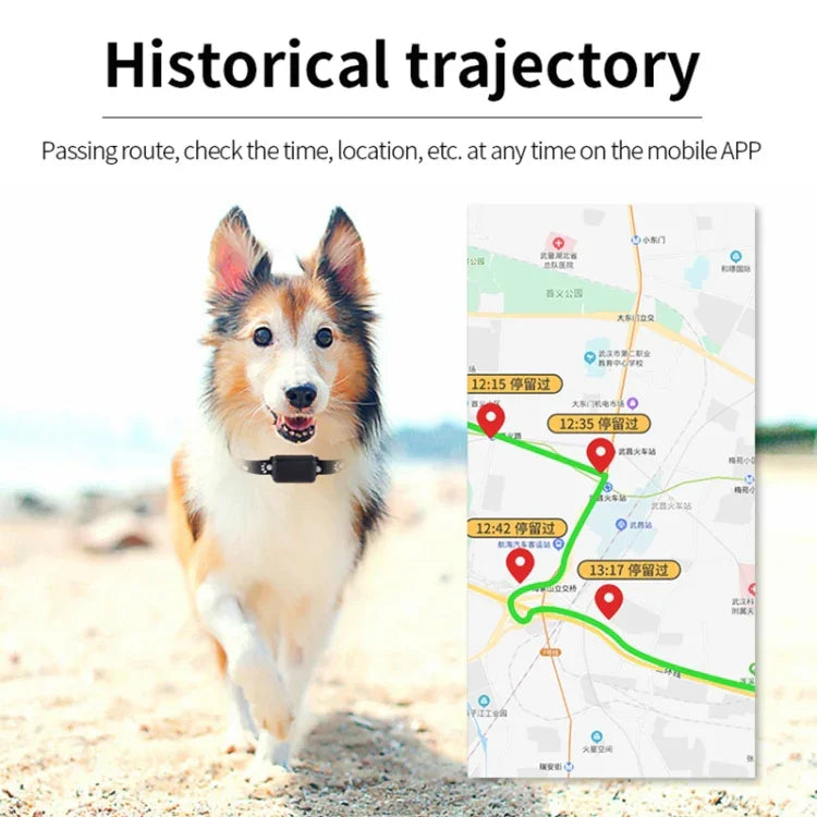 P03 2G 방수 애완동물 GPS 추적기 GPS+AGPS+WiFi+LBS 위치 추적기, P03