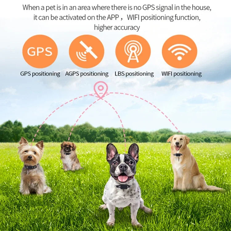 P03 2G 방수 애완동물 GPS 추적기 GPS+AGPS+WiFi+LBS 위치 추적기, P03