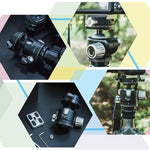 FITTEST X4 저중심 고잠금력 파노라마 볼 헤드 DSLR 및 디지털 카메라용 퀵 릴리스 플레이트 포함, 최대 하중 10kg, YT040 X4