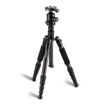 TRIOPO T259G+Q2 조절식 휴대용 카본 파이버 삼각대 Q-2 볼 헤드 포함 SLR 카메라용, T259G+Q2