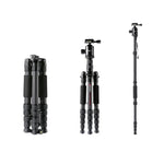 TRIOPO T259G+Q2 조절식 휴대용 카본 파이버 삼각대 Q-2 볼 헤드 포함 SLR 카메라용, T259G+Q2