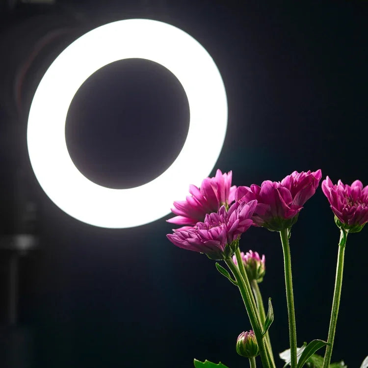 Godox Ring72 매크로 링 48 LED 플래시 라이트 8가지 크기 어댑터 링 포함, Ring72