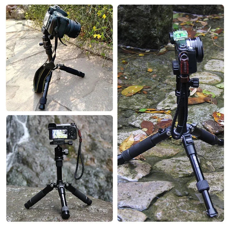 SLR 카메라용 TRIOPO T226 조절식 휴대용 알루미늄 합금 삼각대 D-0 볼 헤드 포함, T226