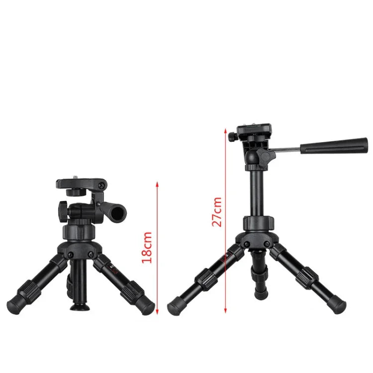이미지 대체 텍스트