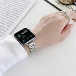 세 알갱이 스틸 교체용 스트랩 시계줄, Apple Watch 시리즈 7 41mm / & 6 & SE & 5 & 4 40mm용, Apple Watch 시리즈 7 45mm / & 6 & SE & 5 & 4 44mm용
