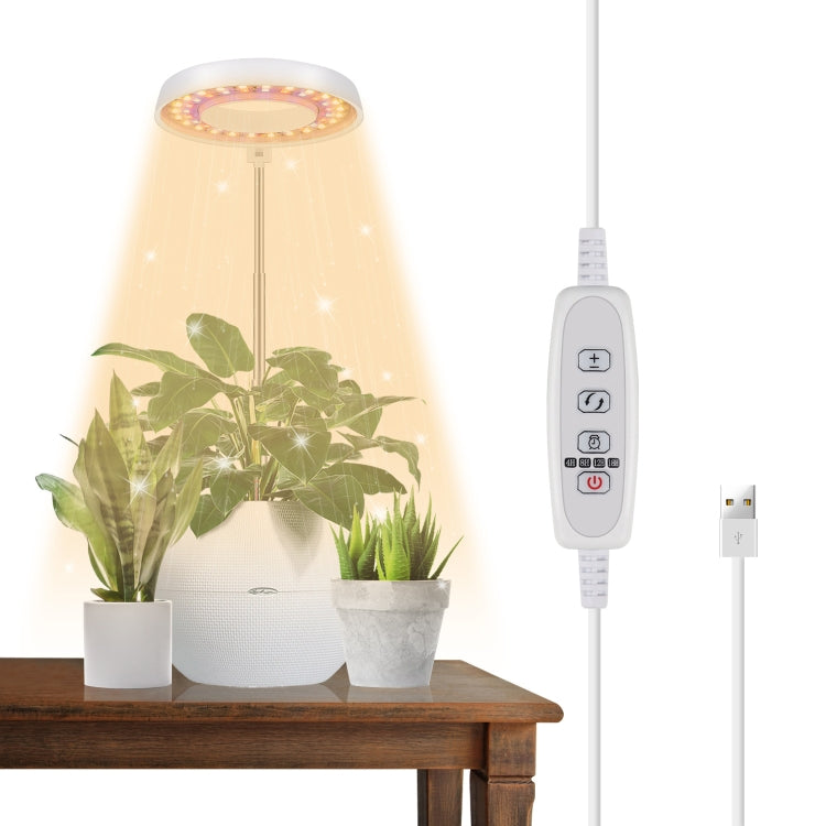 10W 48 LED 다육식물 성장 보조등, 엔젤 링, 벌, 원형 튜브