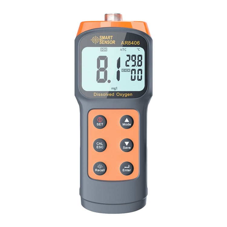 SmartSensor AR8406 휴대용 용존 산소 분석기