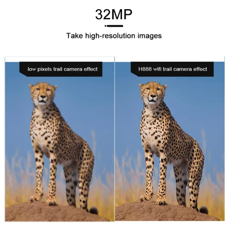 이미지 대체 텍스트