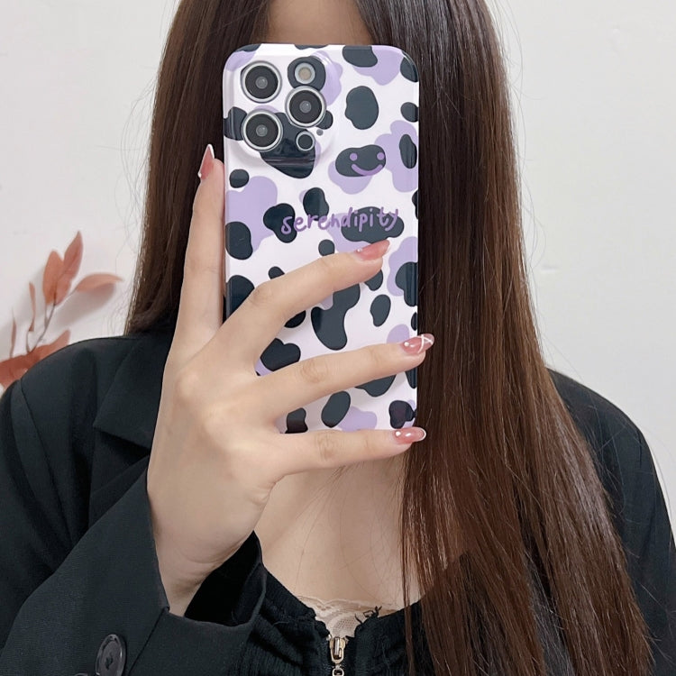이미지 대체 텍스트