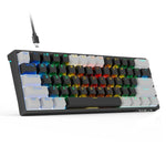 AULA F3261 Type-C 유선 핫스왑 61키 RGB 기계식 키보드