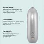 FY-B301 휴대용 접이식 스마트 워터 플로서, 120ml 물탱크, FY-B301