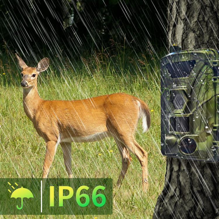 PR802G 4G EU 버전 4K HD 야간 투시 적외선 모션 감지 사냥 카메라, PR802G