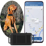 TK919 4G 개 목걸이 IP67 방수 GPS 위치 추적기