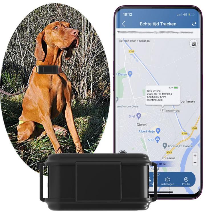 TK919 4G 개 목걸이 IP67 방수 GPS 위치 추적기