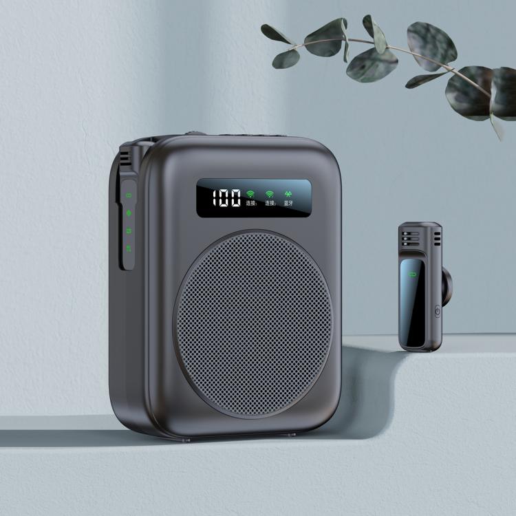 이미지 대체 텍스트