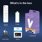 H96 Max H313 안드로이드 14 미니 HD TV 스틱 리모컨 포함, ARM Cortex-A53 쿼드 코어, 2GB+16GB, 2GB+8GB