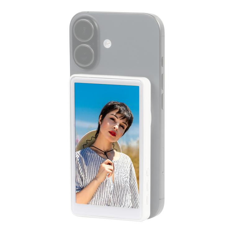 이미지 대체 텍스트