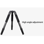 BEXIN ST424C 견고한 캠코더 사진용 카본 파이버 대형 삼각대, 최대 튜브 지름: 40mm, ST424C
