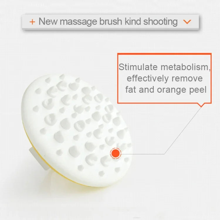 이미지 대체 텍스트