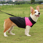 반려견 면 조끼 스키복, 크기: 5XL, 가슴둘레: 68cm, 등 길이: 60cm, 크기: 5XL