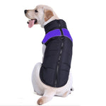 반려견 면 조끼 스키복, 크기: 5XL, 가슴둘레: 68cm, 등 길이: 60cm, 크기: 5XL