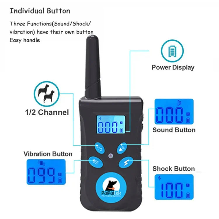 이미지 대체 텍스트