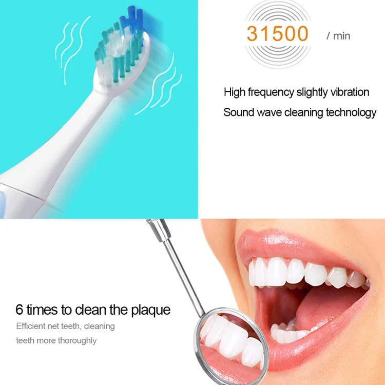QYG Q2 IPX7 방수 배터리 구동 전동 소닉 칫솔