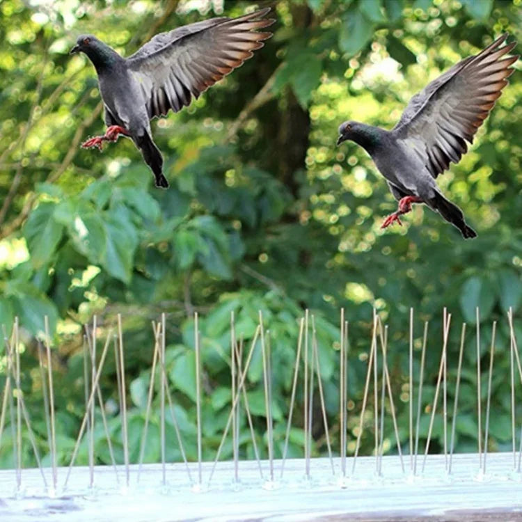 5개입 새 퇴치용 50cm 스테인리스 스틸 못 새 스파이크 SK411, 5개입