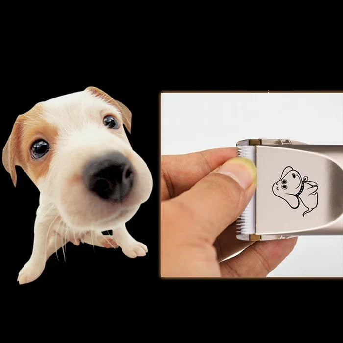 P2 110-240V 세라믹 티타늄 전문 애완동물 전기 가위 애완동물 털 깎기 네 개의 빗 포함, 세라믹 티타늄 가위