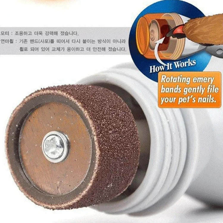 이미지 대체 텍스트