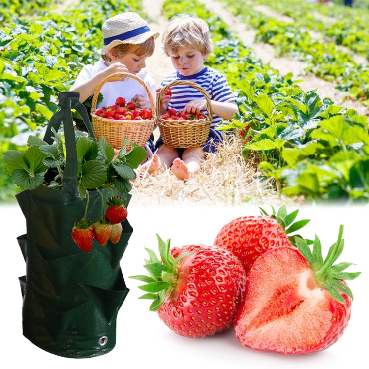 CMD-3 3 Gallon Hanging Strawberry PE Planting Bag Horticultural Flower Planting Bag