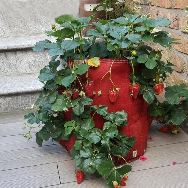6포켓 26L / 7갤런 부직포 딸기 재배 가방, 크기: 30X35cm, 크기: 30X35cm