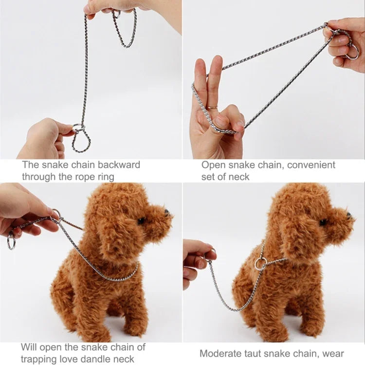 Demonstration of 35cm dog training chain usage, showcasing a dog wearing a solid metal snake chain collar for training.