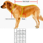애완견 폴리에스터 반사 통기성 애완동물 목걸이 견인 리드, 사이즈: S, 2.0*35*40cm, 사이즈: S, 2.0*35*40cm