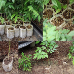 100pcs/Pack Nursery Pots Seedling-Raising Bags Environmental Non-woven Nursery Bags, 1000 PCS Nursery Bags