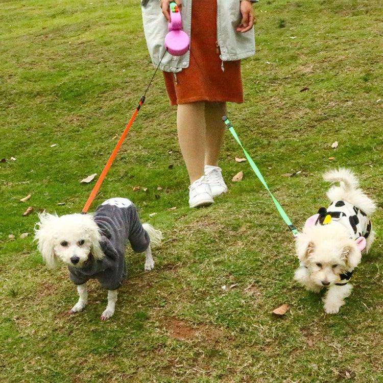 이미지 대체 텍스트