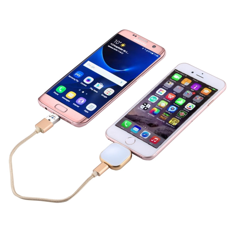 RQW-18S 8핀 64GB 다기능 플래시 디스크 드라이브 USB / 마이크로 USB to 마이크로 USB 케이블 포함, RQW-18S 골드