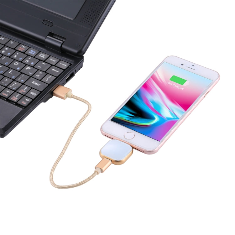 RQW-18S 8핀 128GB 다기능 플래시 디스크 드라이브 USB / 마이크로 USB to 마이크로 USB 케이블 포함, RQW-18S 골드