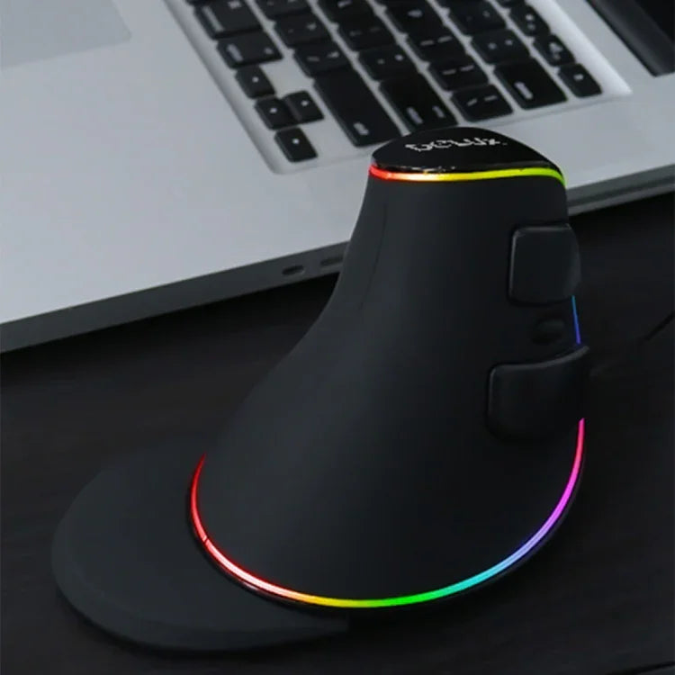 DELUX M618 플러스 RGB 유선 광학 마우스 인체공학적 수직 마우스 4000DPI, 4000DPI 유선