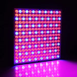 225 LED 온실 조명 수족관 조명, AC 85-265V, 45W/SMD 2835