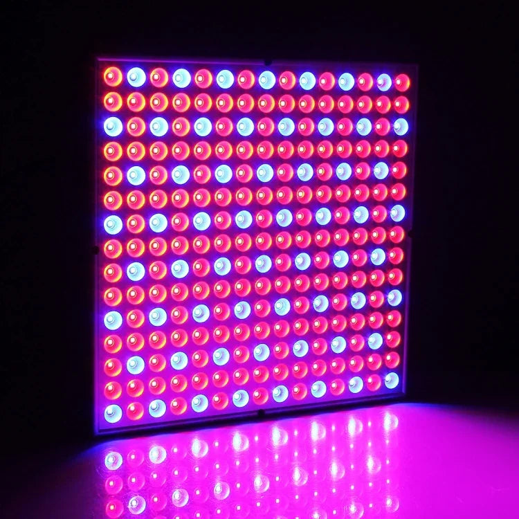 225 LED 온실 조명 수족관 조명, AC 85-265V, 45W/SMD 2835