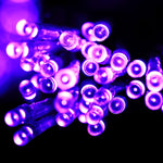 200 LED 망사형 스트링 라이트 끝 조인트 및 다기능 컨트롤러 포함, 온백색 EU 플러그, 청색광 EU 플러그, 알록달록 광 EU 플러그, 보라광 EU 플러그, 백색광 EU 플러그