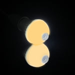 E27 5W 12 LED SMD 5730 300LM 적외선 모션 센서 LED 전구, 센서 거리: 4-6m, AC 220V, E27 5W 백색광, E27 5W 온백색