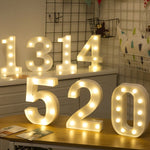 건전지 작동 따뜻한 백색 스탠딩 행잉 휴일 조명, LED6214A, LED6214B, LED6214C, LED6214D, LED6214E, LED6214F, LED6214G, LED6214H, LED6214J, LED6214K