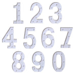 건전지 작동 따뜻한 백색 스탠딩 행잉 휴일 조명, LED6214A, LED6214B, LED6214C, LED6214D, LED6214E, LED6214F, LED6214G, LED6214H, LED6214J, LED6214K