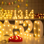 건전지 작동 따뜻한 백색 스탠딩 행잉 휴일 조명, LED6214A, LED6214B, LED6214C, LED6214D, LED6214E, LED6214F, LED6214G, LED6214H, LED6214J, LED6214K