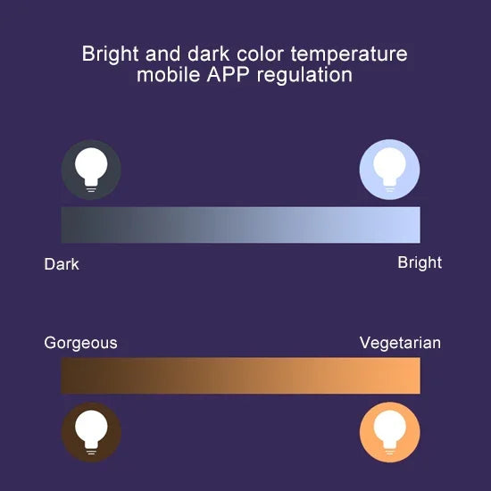 14 LED 3000K+RGB 1050 루멘 Alexa & Google Home 호환, AC 230V